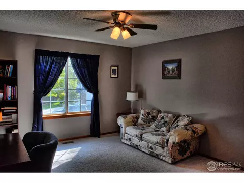 4211 E 106th Ct, Thornton, CO 80233 photo 29