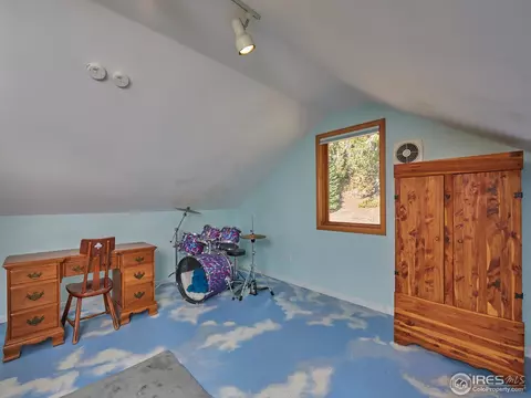 20 Sampson St, Ward, CO 80481 photo 14