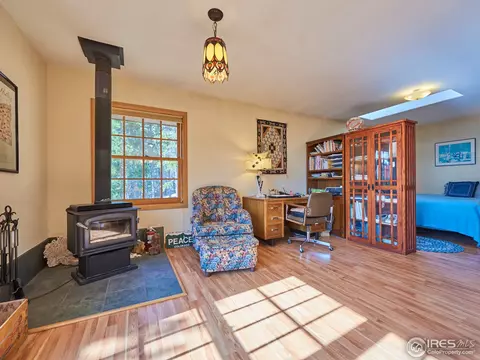 20 Sampson St, Ward, CO 80481 photo 10