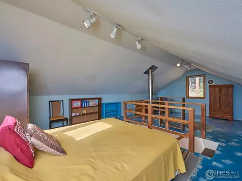 20 Sampson St, Ward, CO 80481 photo 13