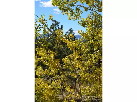 250 S Peak Rd, Boulder, CO 80302 photo 15