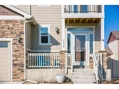 4625 Freehold Dr, Windsor, CO 80550 photo 23