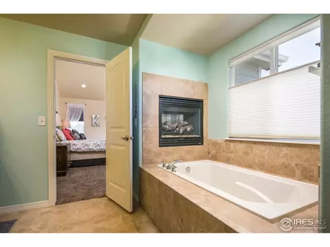 4625 Freehold Dr, Windsor, CO 80550 photo 13