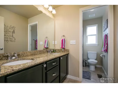 4625 Freehold Dr, Windsor, CO 80550 photo 17