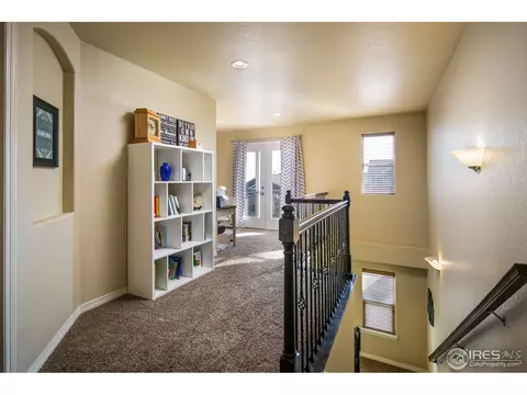 4625 Freehold Dr, Windsor, CO 80550 photo 11