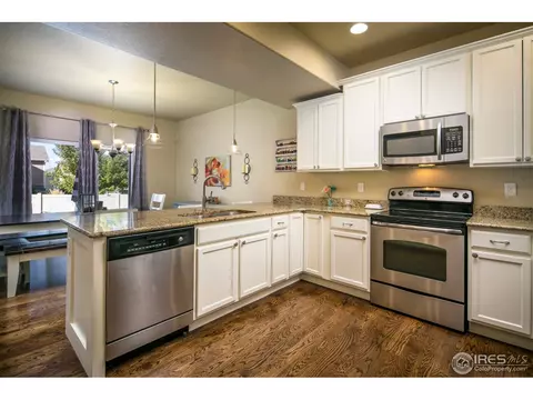 4625 Freehold Dr, Windsor, CO 80550 photo 8