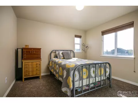 4625 Freehold Dr, Windsor, CO 80550 photo 16