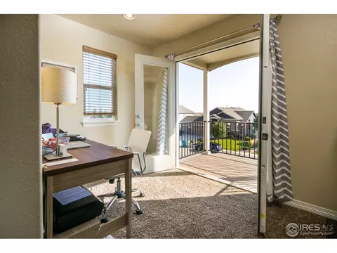 4625 Freehold Dr, Windsor, CO 80550 photo 12
