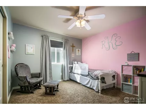4625 Freehold Dr, Windsor, CO 80550 photo 15