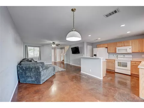 18937 E 57th Pl, Denver, CO 80249 photo 9
