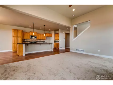 384 Mt Bross Ave, Windsor, CO 80550 photo 11
