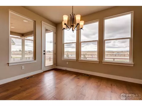 384 Mt Bross Ave, Windsor, CO 80550 photo 5