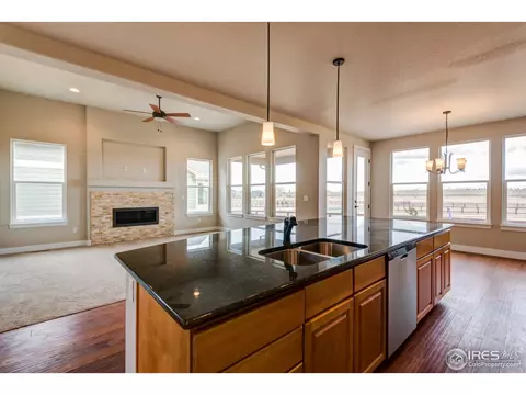 384 Mt Bross Ave, Windsor, CO 80550 photo 8