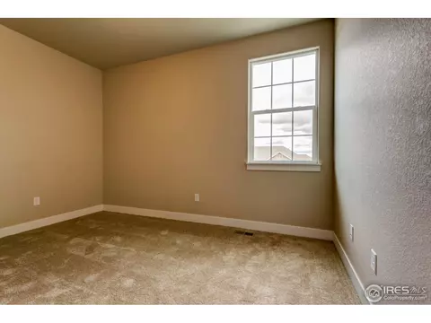 384 Mt Bross Ave, Windsor, CO 80550 photo 18