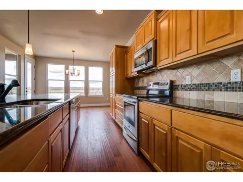 384 Mt Bross Ave, Windsor, CO 80550 photo 7