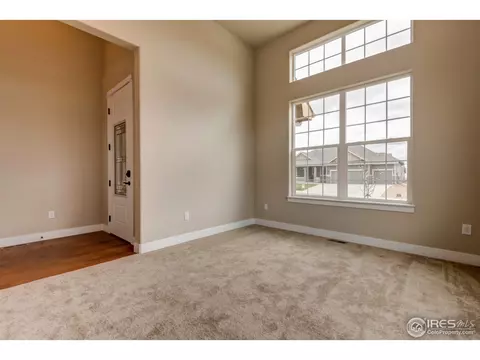 384 Mt Bross Ave, Windsor, CO 80550 photo 9