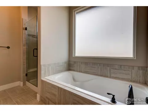 384 Mt Bross Ave, Windsor, CO 80550 photo 23