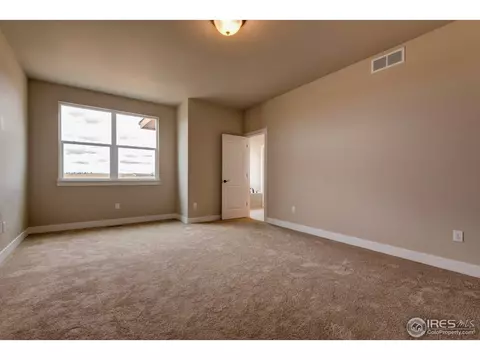384 Mt Bross Ave, Windsor, CO 80550 photo 24