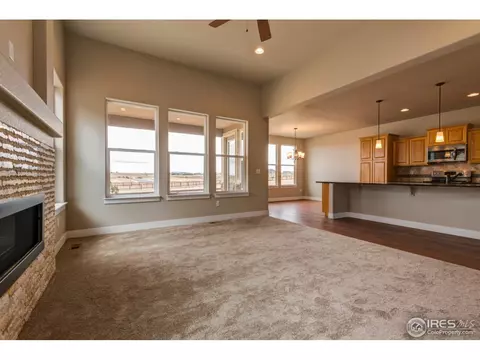 384 Mt Bross Ave, Windsor, CO 80550 photo 14