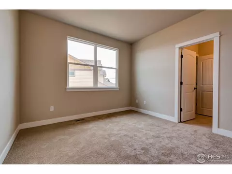 384 Mt Bross Ave, Windsor, CO 80550 photo 20
