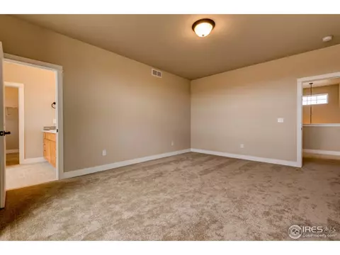 384 Mt Bross Ave, Windsor, CO 80550 photo 25