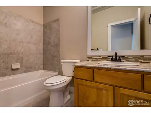 384 Mt Bross Ave, Windsor, CO 80550 photo 17