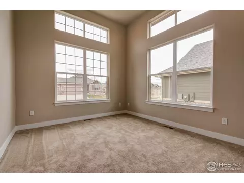 384 Mt Bross Ave, Windsor, CO 80550 photo 10