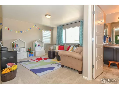 1920 E Seadrift Dr, Windsor, CO 80550 photo 15
