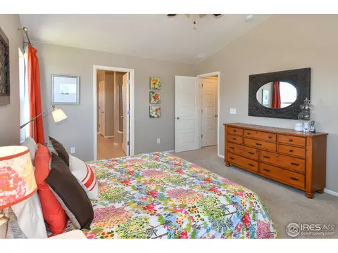 1920 E Seadrift Dr, Windsor, CO 80550 photo 21