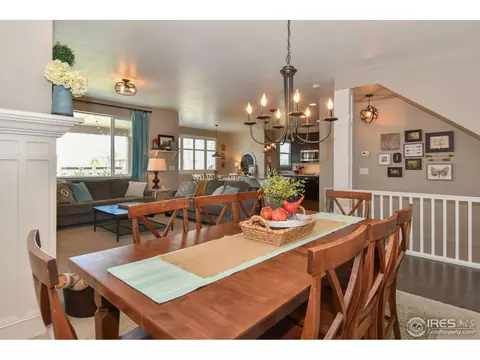 1920 E Seadrift Dr, Windsor, CO 80550 photo 11