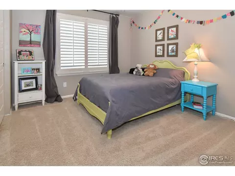 1920 E Seadrift Dr, Windsor, CO 80550 photo 18