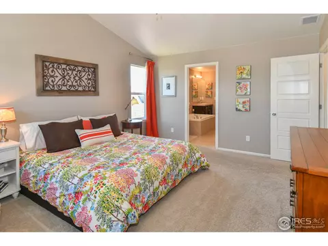 1920 E Seadrift Dr, Windsor, CO 80550 photo 20