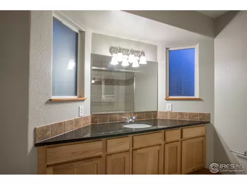397 Sorrel Dr, Windsor, CO 80550 photo 26