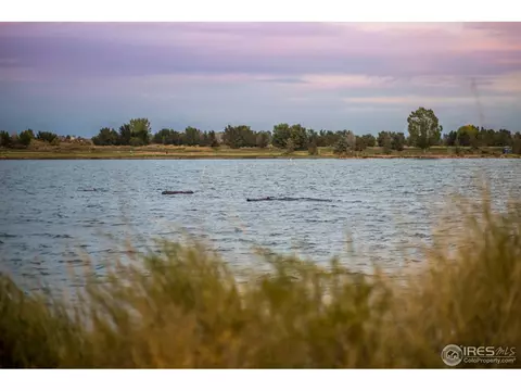 397 Sorrel Dr, Windsor, CO 80550 photo 39