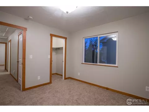 397 Sorrel Dr, Windsor, CO 80550 photo 22