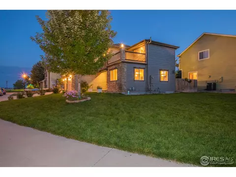 397 Sorrel Dr, Windsor, CO 80550 photo 38