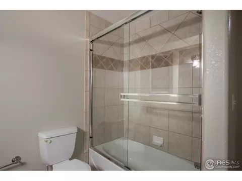 397 Sorrel Dr, Windsor, CO 80550 photo 29