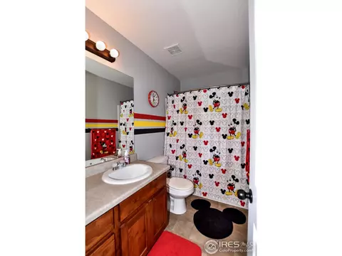 554 Cherryridge Dr, Windsor, CO 80550 photo 10