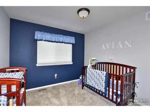 554 Cherryridge Dr, Windsor, CO 80550 photo 9