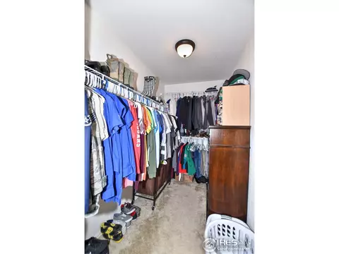554 Cherryridge Dr, Windsor, CO 80550 photo 11