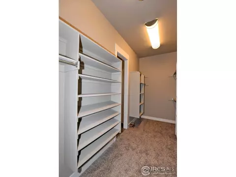 5933 Bay Meadows Dr, Windsor, CO 80550 photo 20