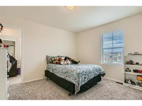 2570 E 160th Pl, Thornton, CO 80602 photo 17