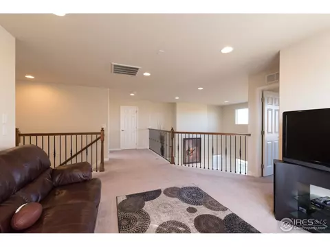 1661 E 167th Ave, Thornton, CO 80602 photo 20
