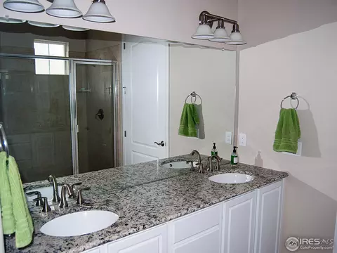 2037 Vineyard Dr, Windsor, CO 80550 photo 12