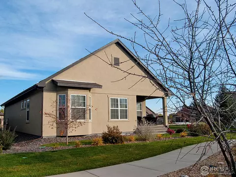 2037 Vineyard Dr, Windsor, CO 80550 photo 15