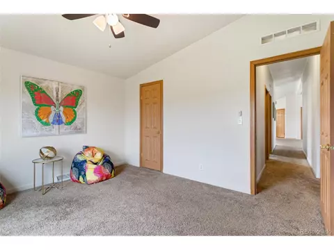 13680 Dill Ct, Peyton, CO 80831 photo 16