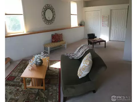 825 3rd Ave, Lyons, CO 80540 photo 9