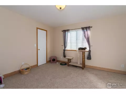 210 Bein St, Berthoud, CO 80513 photo 21