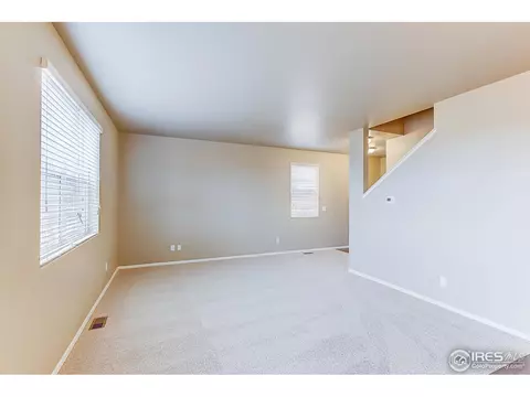 916 Pierson Ct, Windsor, CO 80550 photo 5