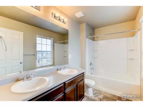 916 Pierson Ct, Windsor, CO 80550 photo 21